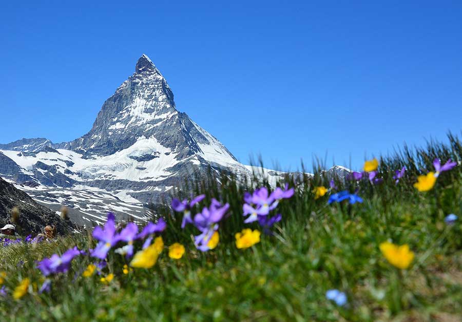 Switzerland arrival